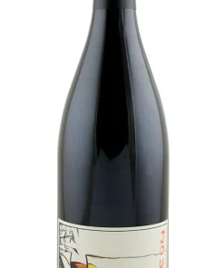 Gauthier Bourgueil Jour De Soif 750ml