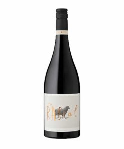 HUGH HAMILTON RASCAL SHIRAZ