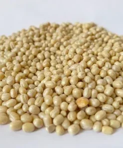 SURAJ Urad Gota